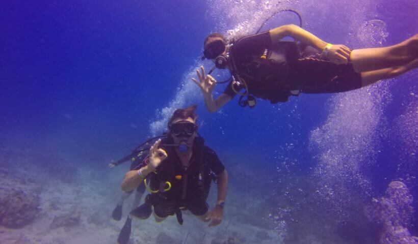 Scuba Diving at Catalina Island