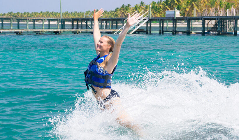 Swimming with Dolphins