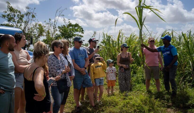 Dominican Countryside Safari